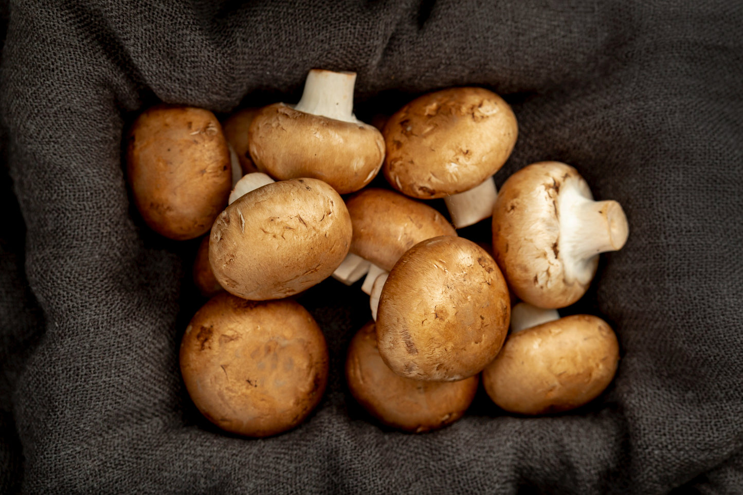 Champignons De Paris (500g)