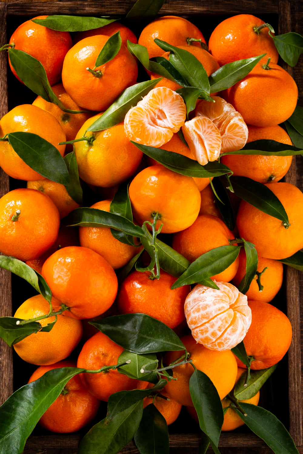 Clementine (Pièce)