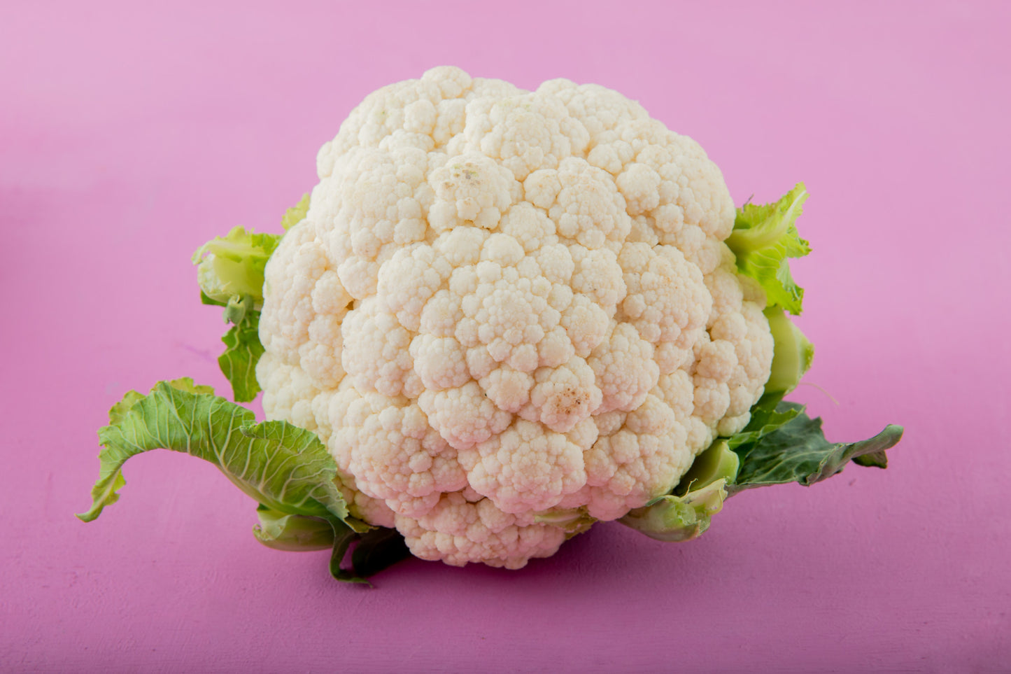 Chou Fleur (Pièce)