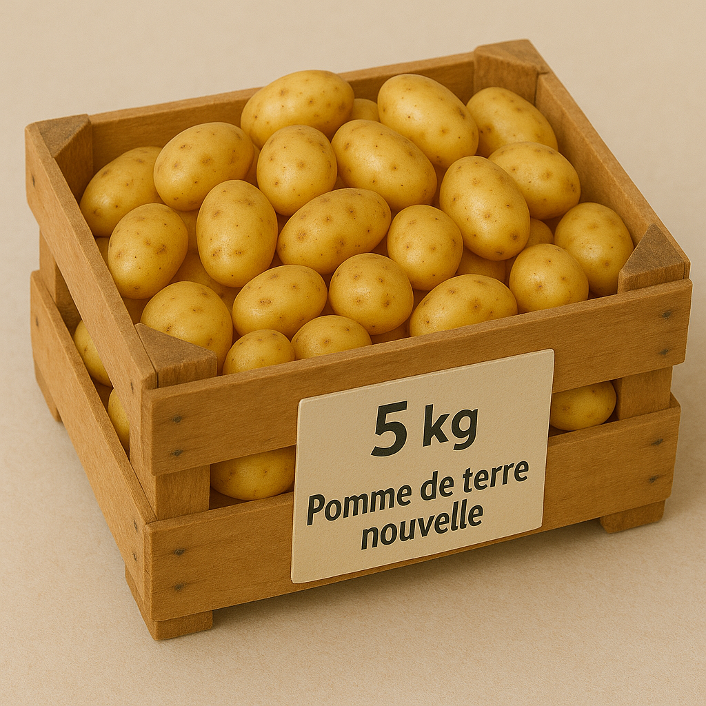 PDT Delikatesse