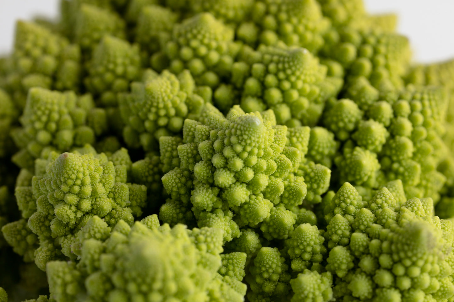 Chou Romanesco (Pièce)