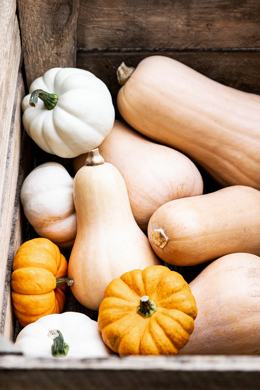 !Promotion Butternut (Pièce)