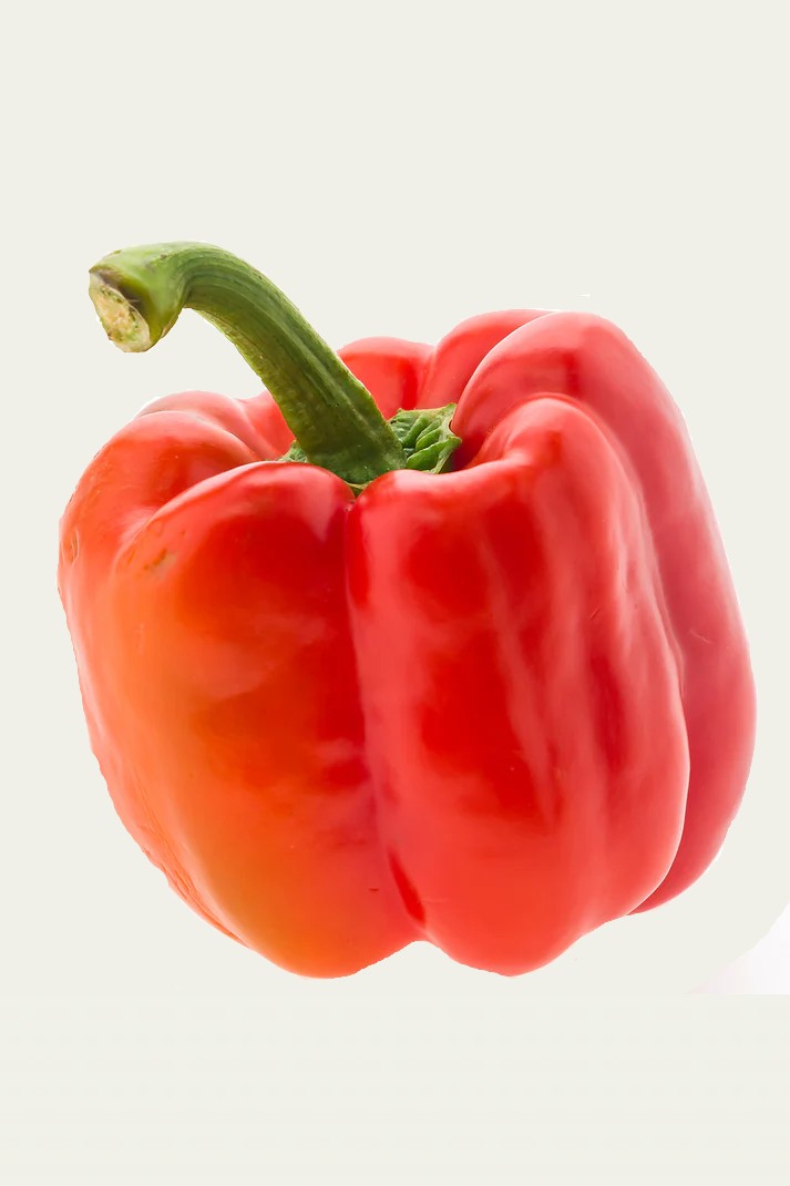 Poivron (sélection)