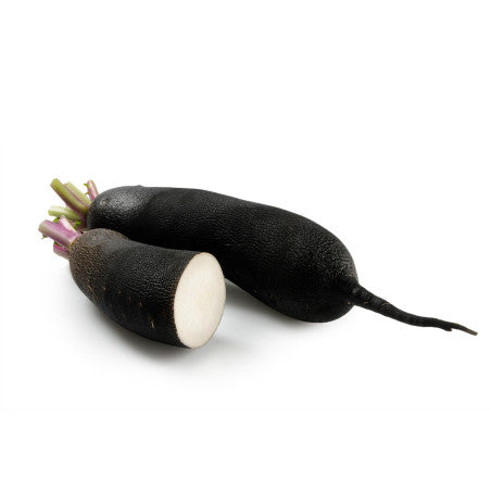 Radis Noir