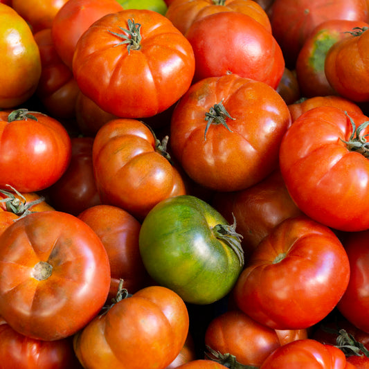Tomate Ancienne 1kg